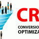 KriXis Consulting | CRO Offer